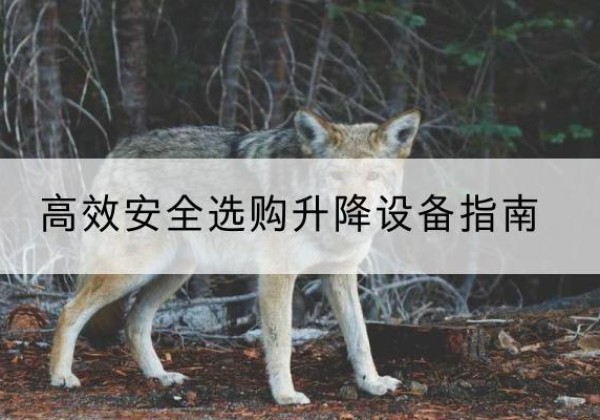 雁塔升降货梯厂家推荐-*安全选购升降设备指南