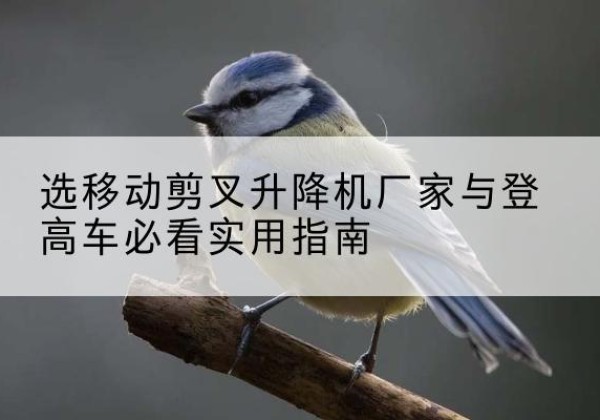 雁塔电动升降机厂家-选移动剪叉升降机厂家与登高车必看实用指南