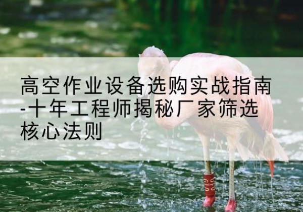 雁塔剪叉式升降机厂家-高空作业设备选购实战指南-十年工程师揭秘厂家筛选核心法则