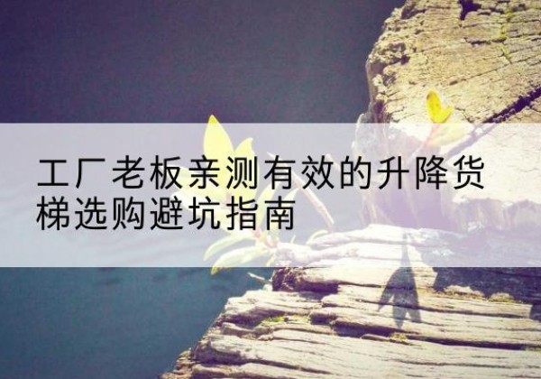 雁塔升降货梯怎么选-工厂老板亲测有效的升降货梯选购避坑指南